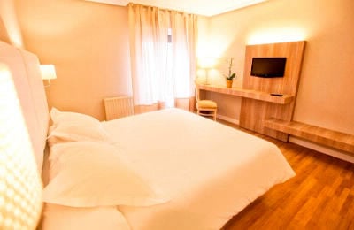 Hotel Los Lagos***