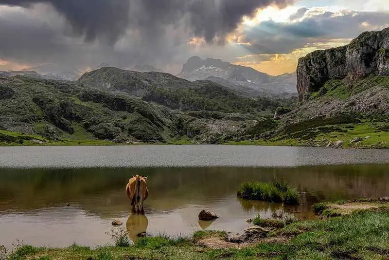 Vista de Picos de Europa y Lago Ercina