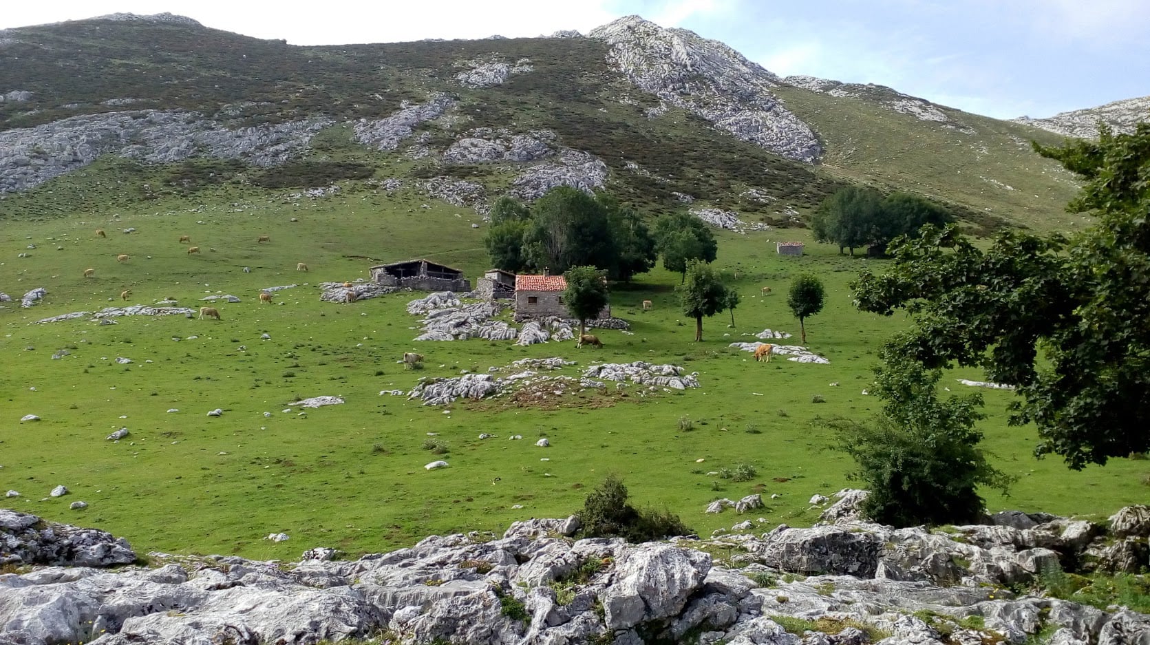 Vista de Picos de Europa y Lago Ercina