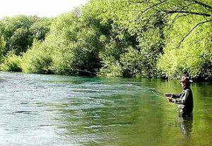Pesca en eñ río Sella