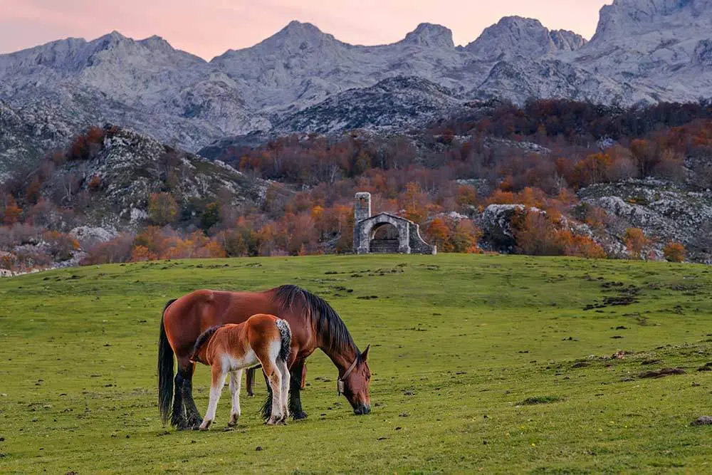 Lagos de Covadonga. Picos de Europa